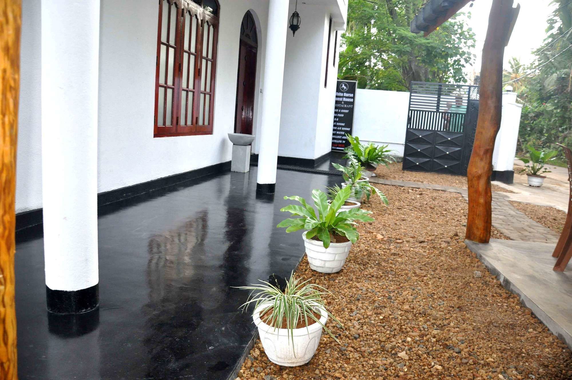 White Horse Hotell Hikkaduwa Exteriör bild